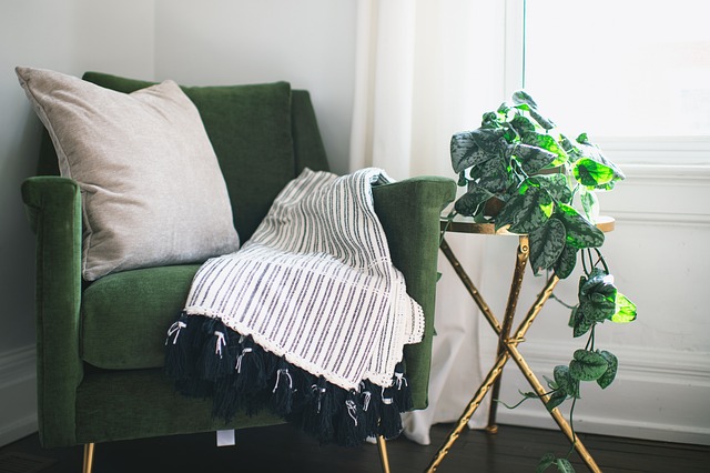 chair, home, room, nature, plant, ivy, interior, table, blanket, pillow, curtain, clean, drapes, silver satin ivy, still life
