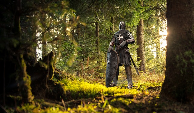 wood, nature, tree, outdoors, people, knight, medieval, soldier, warrior, armor, shield, knight, knight, knight, knight, knight, medieval, medieval, soldier, warrior, warrior, warrior, warrior, armor, shield, shield, shield